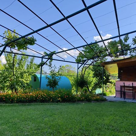 Nataly Campsite Jegegnadzor Kültér fotó