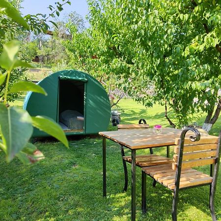 Nataly Campsite Jegegnadzor Kültér fotó